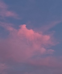 1000055931