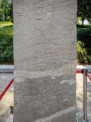 1000008931