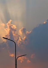 1000025818