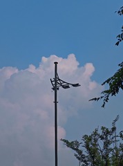 1000054110