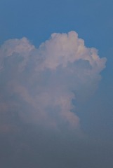 1000054113