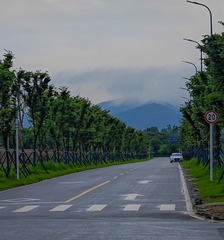 1000026342