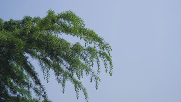 06F90F41-606A-45DE-8462-FEFF2633E3C7/L0/001