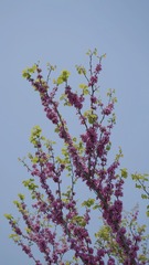 8C23E8B3-F55D-4F60-B414-B5E7AD5D80D0/L0/001