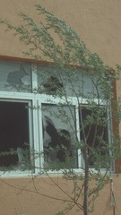 4075425