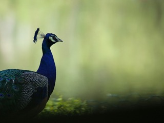 360306