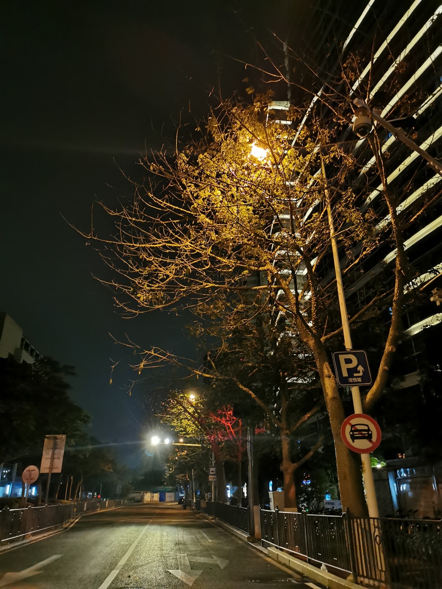 冬日路灯下的树枝看起来有深秋的感觉～ - 大脸猫a - 图虫