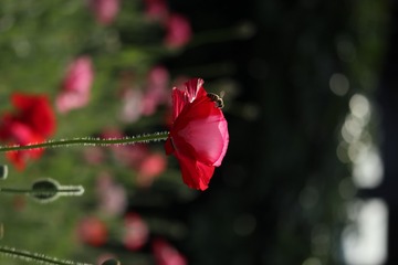 758159