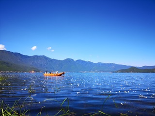 2011