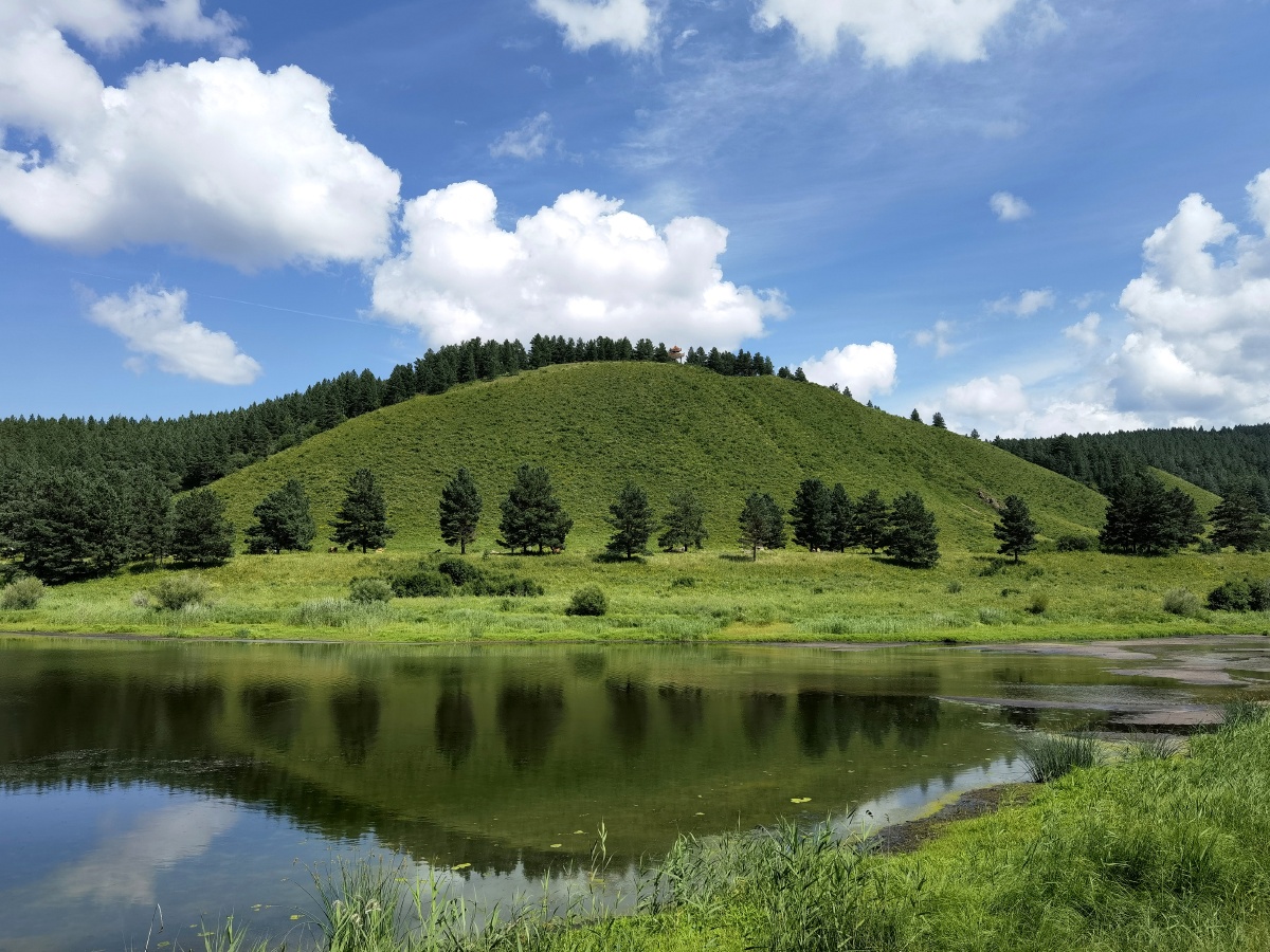 翠屏山红花尔基樟子松国家森林公园