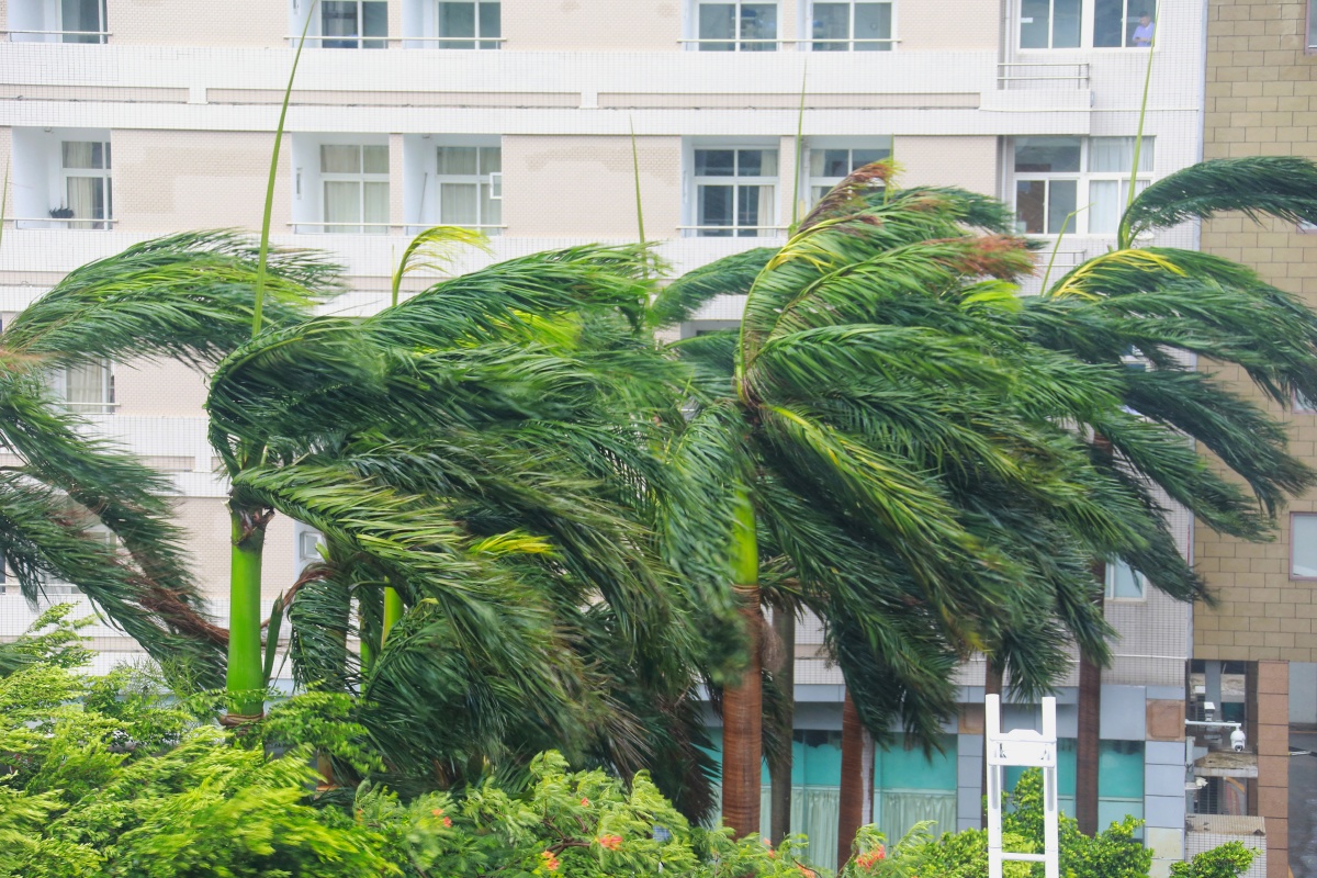 台风米克拉影响厦门市民出行受阻