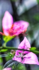 B800A9BF-6120-49AB-A549-A91C7EF6F619/L0/001