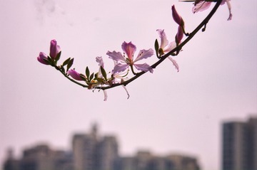 C0B5ED0D-7B87-4FF9-B56A-C9141D4E2269/L0/001