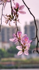 CB0B77D1-7AE0-47EB-BD88-01A3FE4B4A3C/L0/001