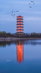 001