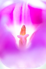 C4B68AEA-950C-4069-A820-55FB4967B51F/L0/001