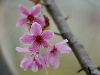 883CA27A-CAA2-4F61-9CB6-FA060B15F1C8/L0/001
