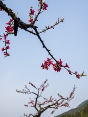 6542420C-3E4D-457A-973C-CB59827328D4/L0/001