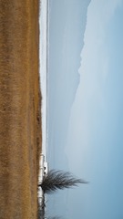 4F07A1E3-1EB2-4AB8-90A7-139B15EF9D66/L0/001