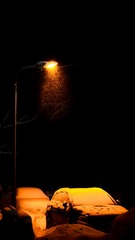 65A02272-4F9A-454B-A2F2-68219AA981A8/L0/001