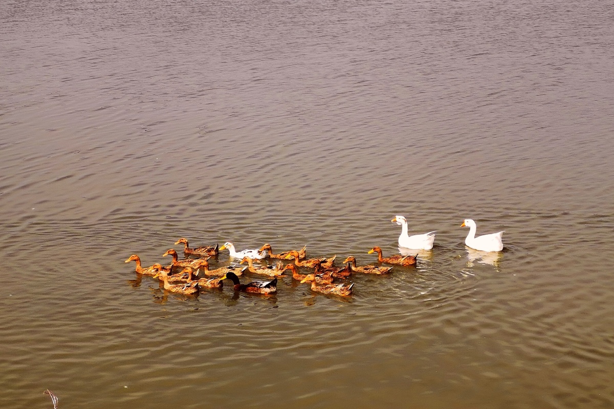 王圈水库旁边美丽的村庄