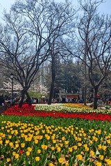 1000012015