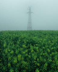 1000015780