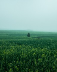 1000015777