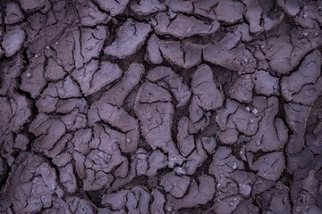_GBO2567