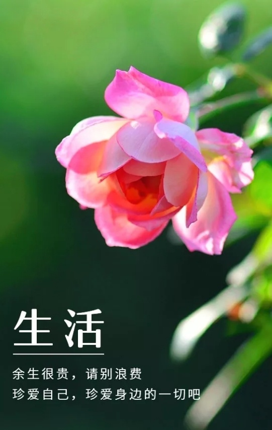 余生很贵请别浪费珍惜自己珍爱身边人