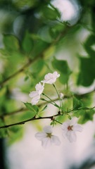 AB0083AA-50D9-4E4D-861A-FB5AA7A87502/L0/001