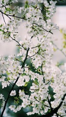 A724480D-0E83-40DF-A0B7-4260916498EB/L0/001