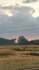 1000052154