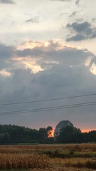 1000052155