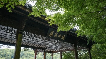 3DA613FE-7A72-4E53-B3AB-0168C89EC94B/L0/001