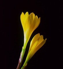 001