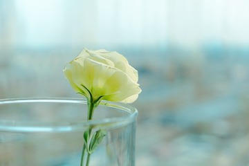 D7B6BB87-C9BE-4B28-8E3F-D5A4445FFAE5/L0/001