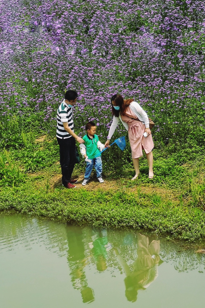 假日里,一家三口来公园游玩,体检生活的乐趣,表现出浓浓父母情和对