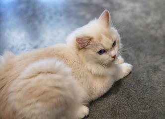 1051551
