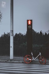 Optional(
