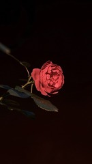 001