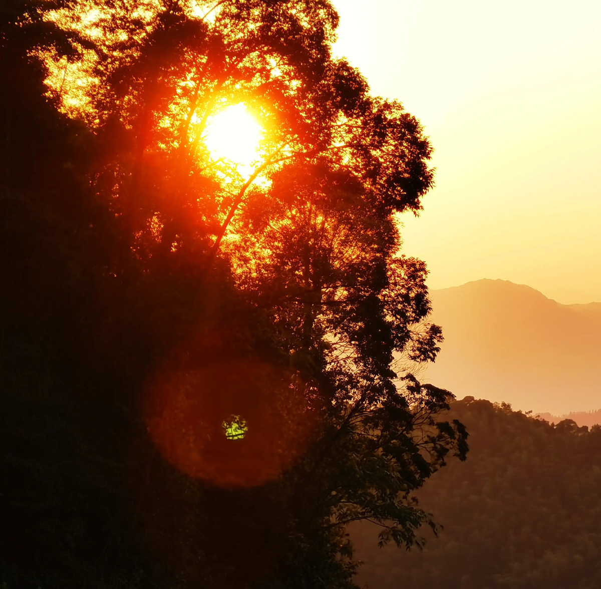 山野晨露朝阳草絮路台海湾湖畔枝柳云边流光熙霞落日晚风村山阁楼云天