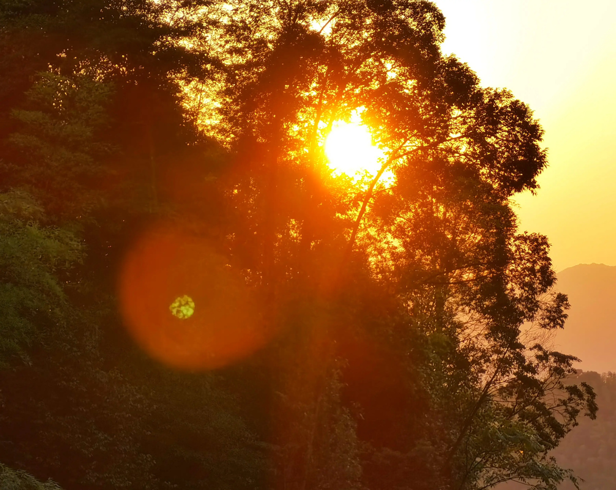 山野晨露朝阳草絮路台海湾湖畔枝柳云边流光熙霞落日晚风村山阁楼云天
