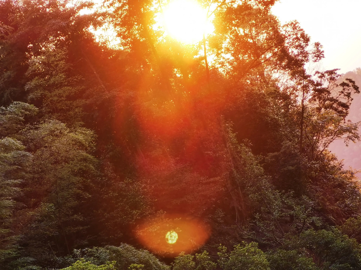 山野晨露朝阳草絮路台海湾湖畔枝柳云边流光熙霞落日晚风村山阁楼云天
