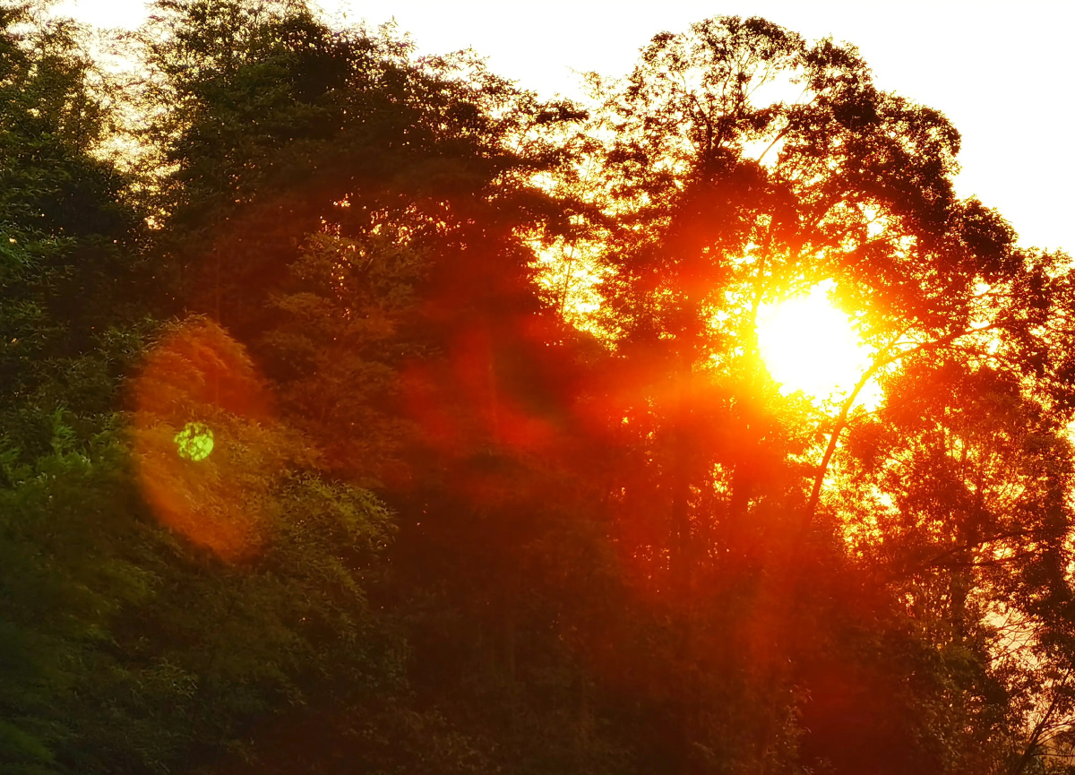 山野晨露朝阳草絮路台海湾湖畔枝柳云边流光熙霞落日晚风村山阁楼云天