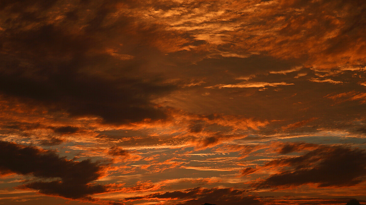 梯云流阳醉日风展