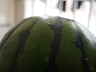 2095