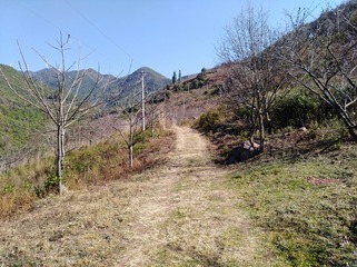 2743849
