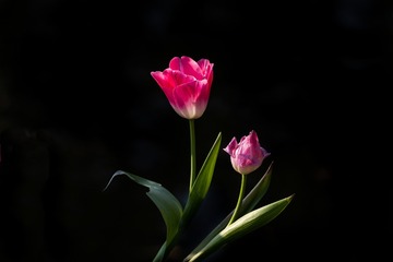 186B7C51-024F-401F-B326-C22C97B8C80D/L0/001
