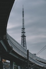 1000021237